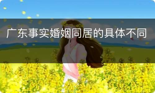 广东事实婚姻同居的具体不同