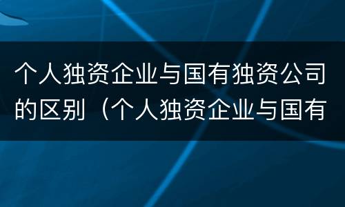 个人独资企业与国有独资公司的区别（个人独资企业与国有独资公司的区别）