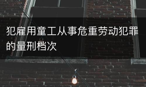 犯雇用童工从事危重劳动犯罪的量刑档次