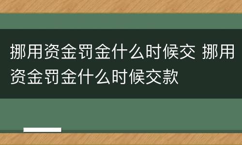 挪用资金罚金什么时候交 挪用资金罚金什么时候交款