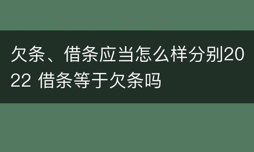 欠条、借条应当怎么样分别2022 借条等于欠条吗