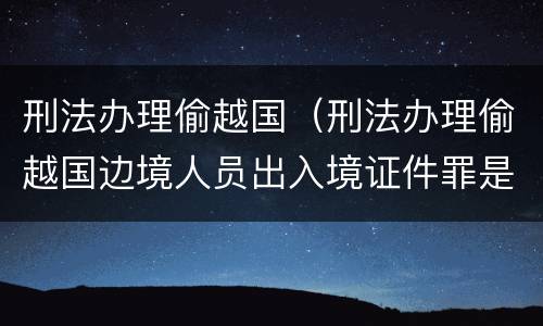 刑法办理偷越国（刑法办理偷越国边境人员出入境证件罪是指）