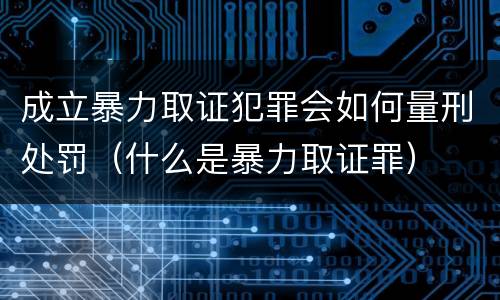 成立暴力取证犯罪会如何量刑处罚（什么是暴力取证罪）