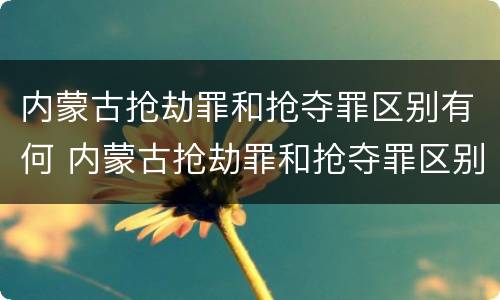 内蒙古抢劫罪和抢夺罪区别有何 内蒙古抢劫罪和抢夺罪区别有何意义