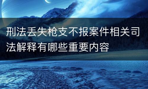 刑法丢失枪支不报案件相关司法解释有哪些重要内容