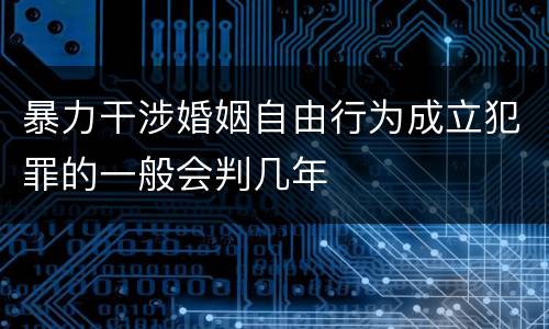 暴力干涉婚姻自由行为成立犯罪的一般会判几年