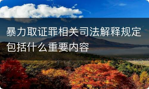 暴力取证罪相关司法解释规定包括什么重要内容