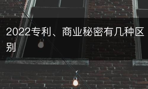 2022专利、商业秘密有几种区别