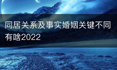 同居关系及事实婚姻关键不同有啥2022