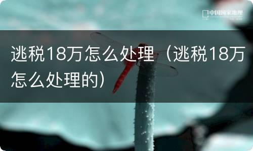 逃税18万怎么处理（逃税18万怎么处理的）