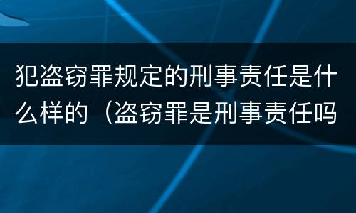 犯盗窃罪规定的刑事责任是什么样的（盗窃罪是刑事责任吗）