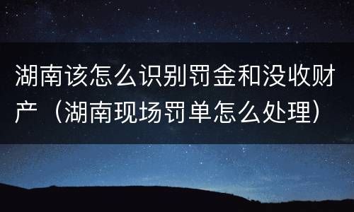 湖南该怎么识别罚金和没收财产（湖南现场罚单怎么处理）