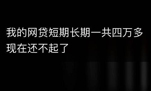 我的网贷短期长期一共四万多现在还不起了