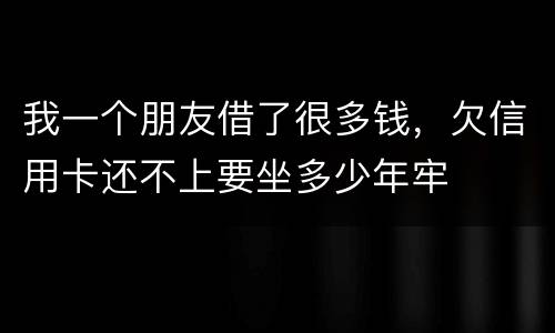 我一个朋友借了很多钱，欠信用卡还不上要坐多少年牢