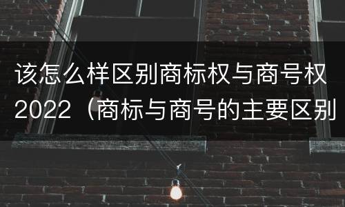 该怎么样区别商标权与商号权2022（商标与商号的主要区别表现）