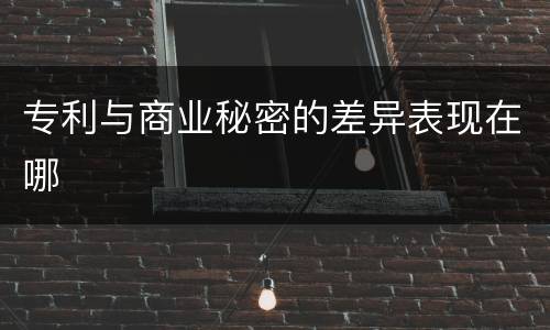 专利与商业秘密的差异表现在哪