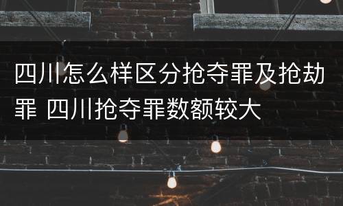 四川怎么样区分抢夺罪及抢劫罪 四川抢夺罪数额较大