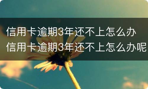 信用卡逾期3年还不上怎么办 信用卡逾期3年还不上怎么办呢