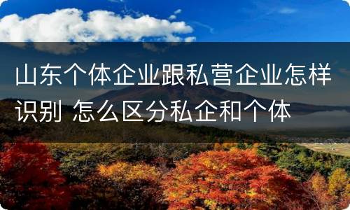 山东个体企业跟私营企业怎样识别 怎么区分私企和个体