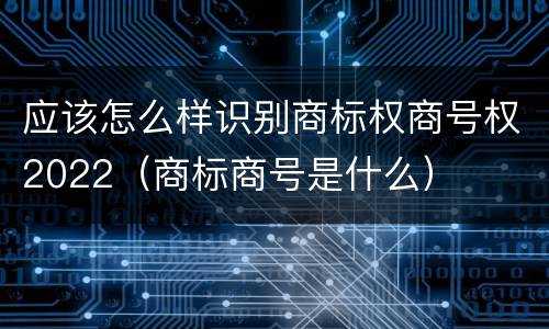 应该怎么样识别商标权商号权2022（商标商号是什么）