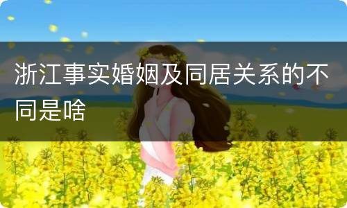 浙江事实婚姻及同居关系的不同是啥