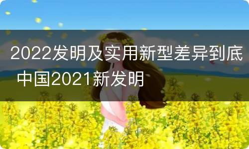 2022发明及实用新型差异到底 中国2021新发明