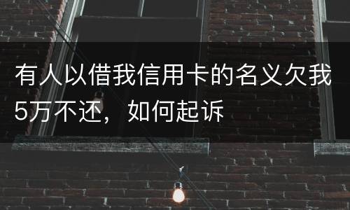 有人以借我信用卡的名义欠我5万不还，如何起诉