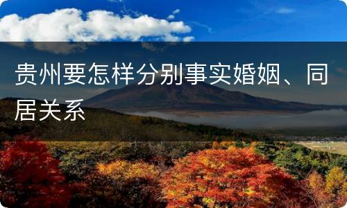 贵州要怎样分别事实婚姻、同居关系