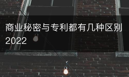 商业秘密与专利都有几种区别2022