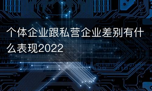 个体企业跟私营企业差别有什么表现2022