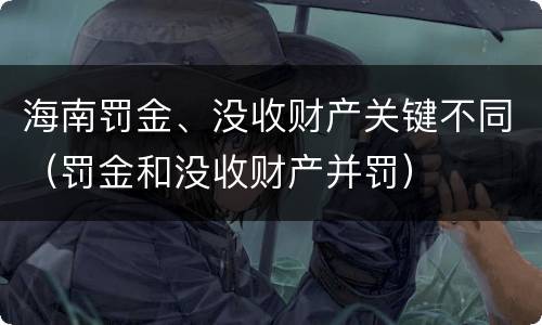 海南罚金、没收财产关键不同（罚金和没收财产并罚）