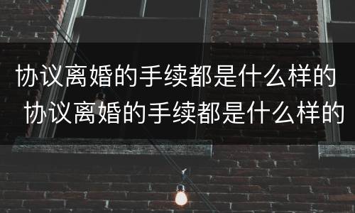 协议离婚的手续都是什么样的 协议离婚的手续都是什么样的呀