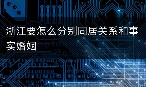 浙江要怎么分别同居关系和事实婚姻