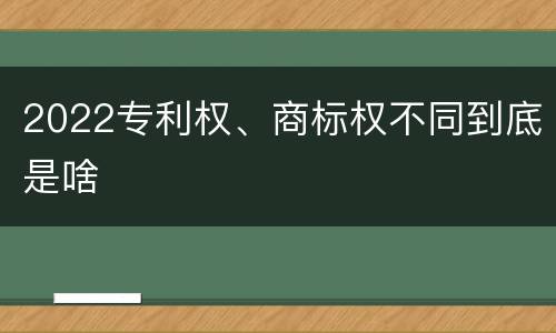 2022专利权、商标权不同到底是啥