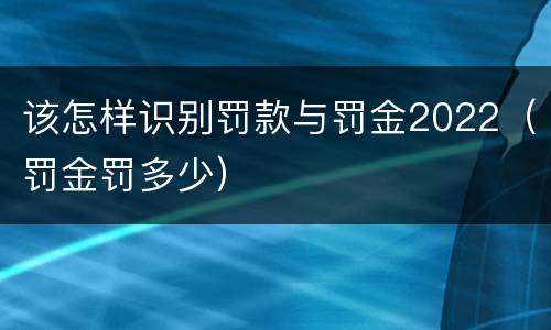 该怎样识别罚款与罚金2022（罚金罚多少）