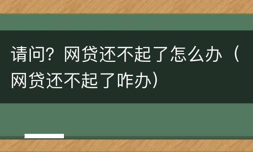 请问？网贷还不起了怎么办（网贷还不起了咋办）