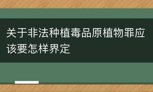 关于非法种植毒品原植物罪应该要怎样界定