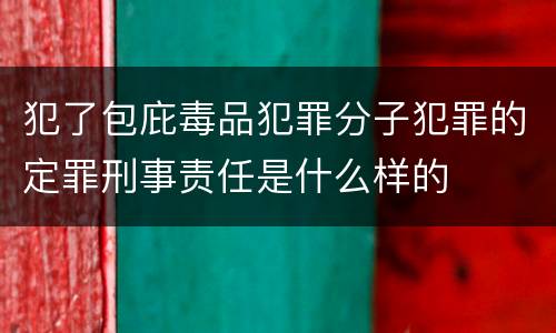 犯了包庇毒品犯罪分子犯罪的定罪刑事责任是什么样的