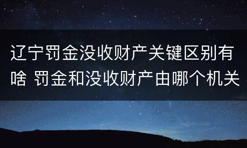 辽宁罚金没收财产关键区别有啥 罚金和没收财产由哪个机关执行