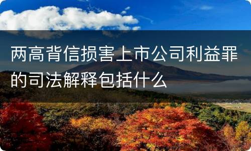 两高背信损害上市公司利益罪的司法解释包括什么