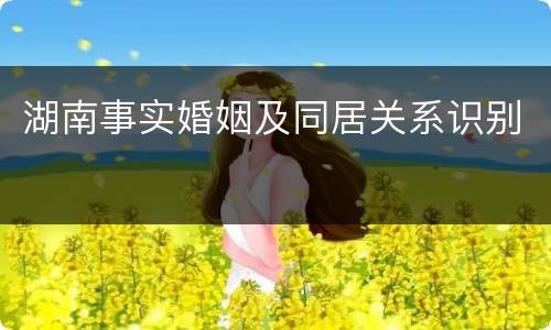 湖南事实婚姻及同居关系识别