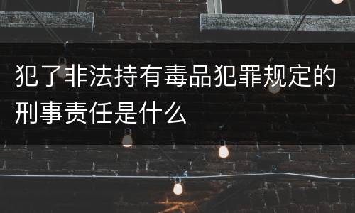 犯了非法持有毒品犯罪规定的刑事责任是什么