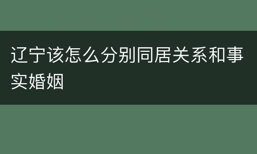 辽宁该怎么分别同居关系和事实婚姻