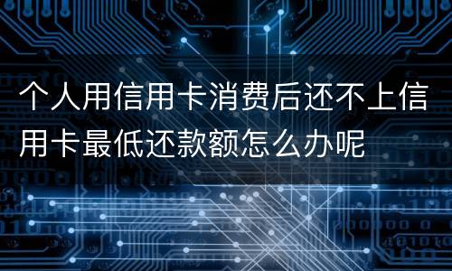 个人用信用卡消费后还不上信用卡最低还款额怎么办呢