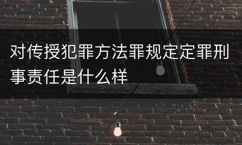 对传授犯罪方法罪规定定罪刑事责任是什么样