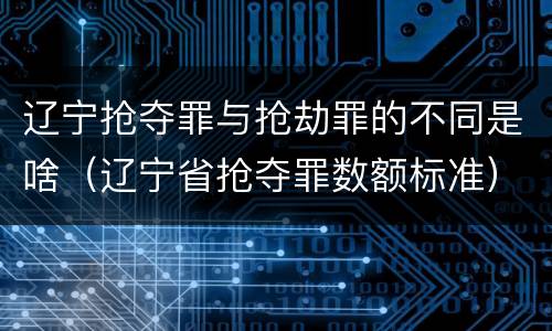 辽宁抢夺罪与抢劫罪的不同是啥（辽宁省抢夺罪数额标准）