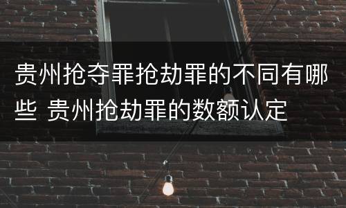 贵州抢夺罪抢劫罪的不同有哪些 贵州抢劫罪的数额认定