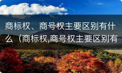 商标权、商号权主要区别有什么（商标权,商号权主要区别有什么特点）