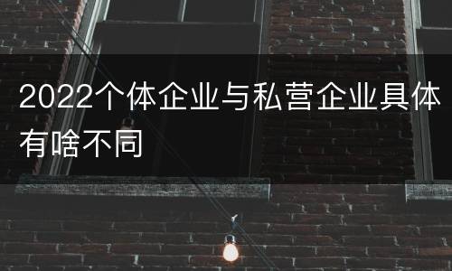 2022个体企业与私营企业具体有啥不同