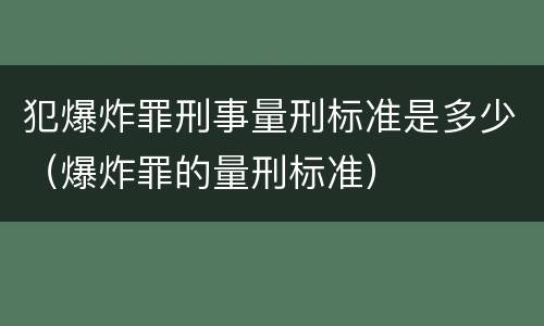 犯爆炸罪刑事量刑标准是多少（爆炸罪的量刑标准）